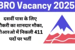 BRO Vacancy 2025