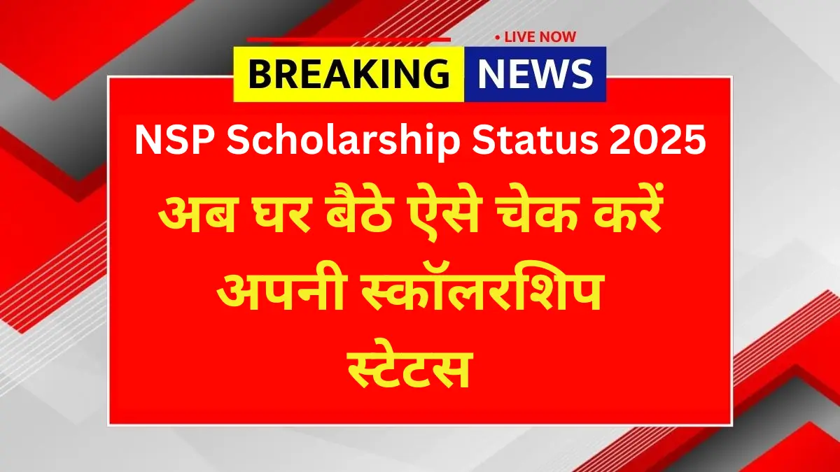 NSP Scholarship Status 2025